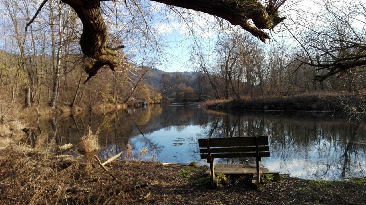 Tiny Guesthouse Kamptal Schonberg am Kamp ภายนอก รูปภาพ